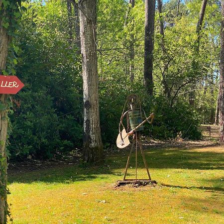 Le Petit Poulailler Au Beau Milieu Des Pins Villa Lacanau Luaran gambar