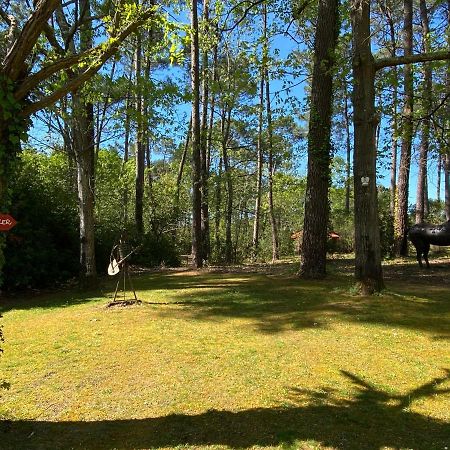 Le Petit Poulailler Au Beau Milieu Des Pins Villa Lacanau Luaran gambar