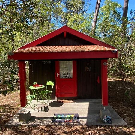 Le Petit Poulailler Au Beau Milieu Des Pins Villa Lacanau Luaran gambar