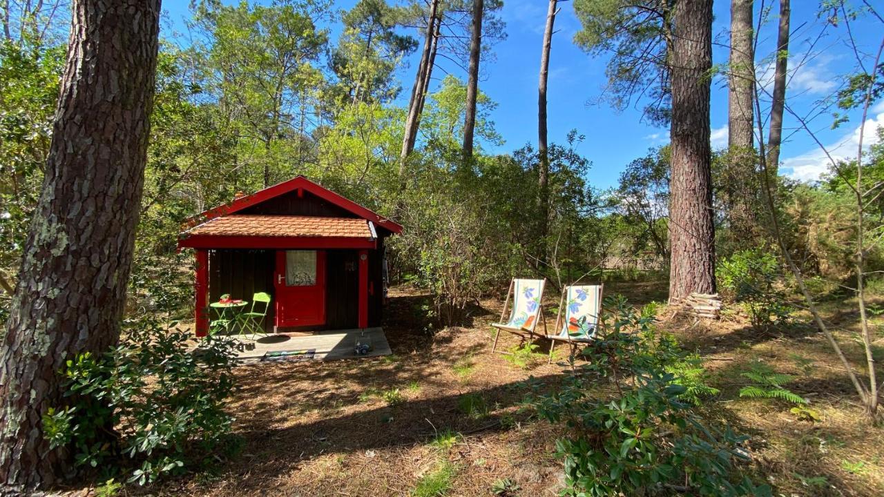 Le Petit Poulailler Au Beau Milieu Des Pins Villa Lacanau Luaran gambar