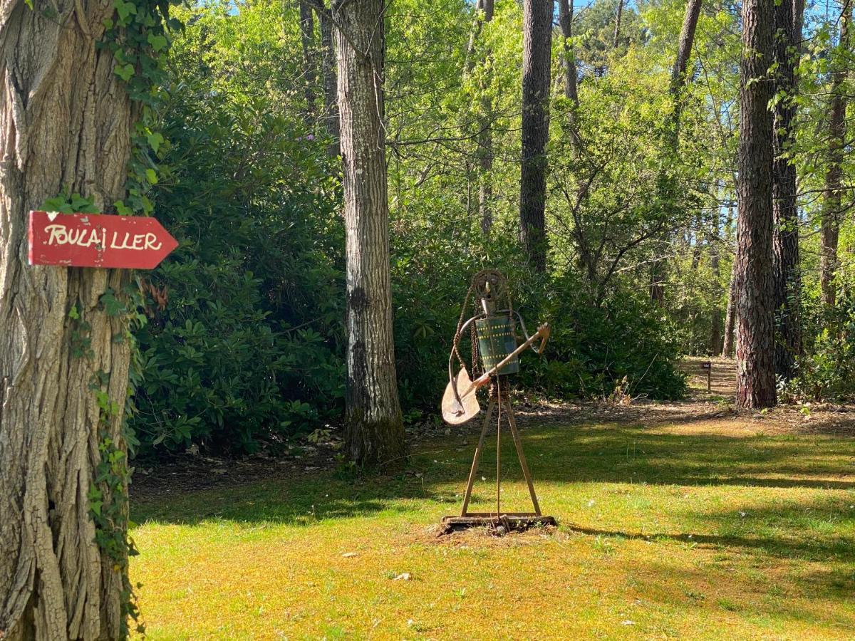 Le Petit Poulailler Au Beau Milieu Des Pins Villa Lacanau Luaran gambar