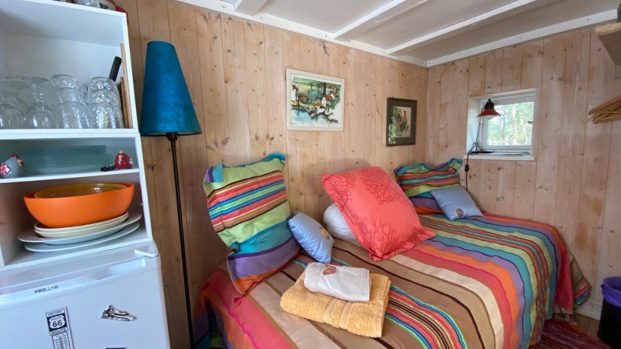 Le Petit Poulailler Au Beau Milieu Des Pins Villa Lacanau Luaran gambar
