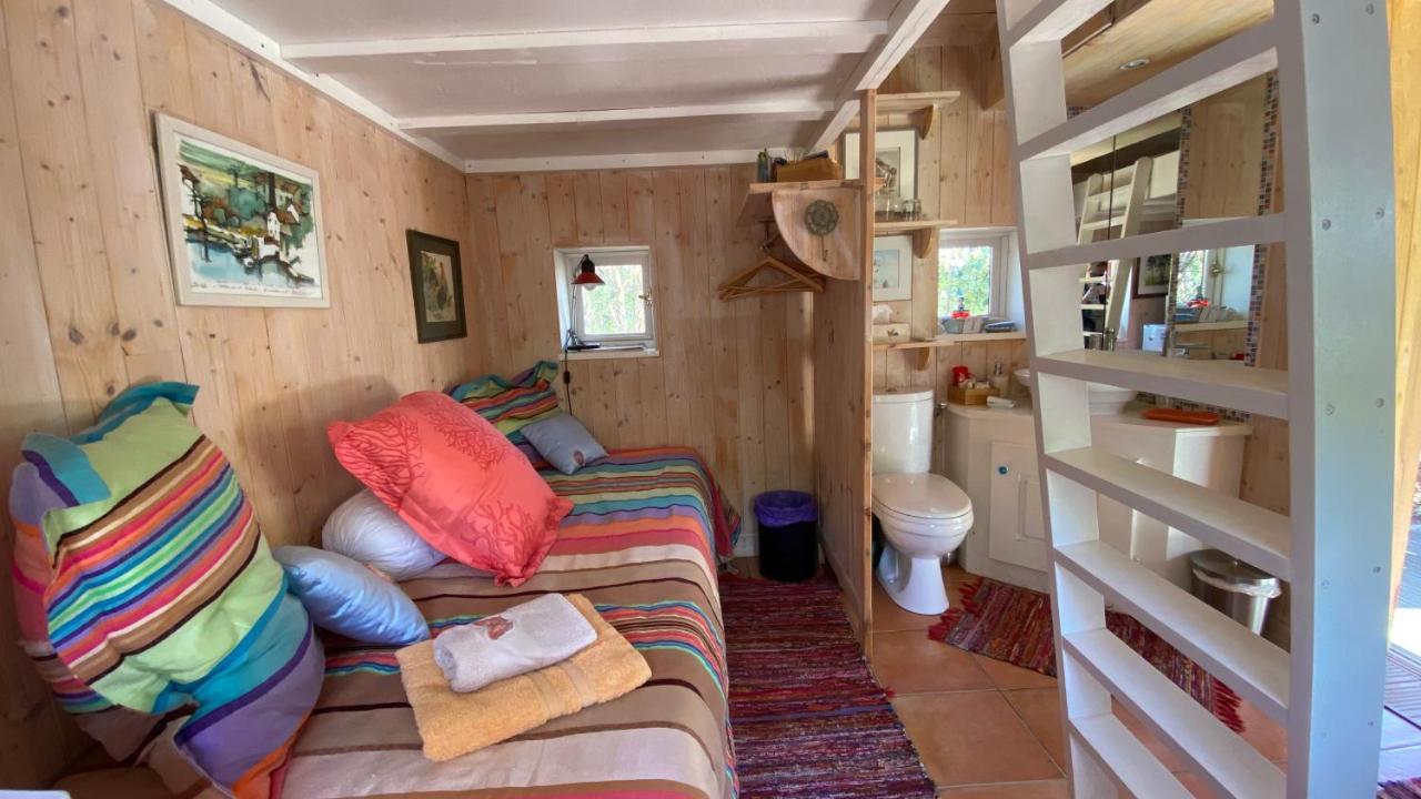 Le Petit Poulailler Au Beau Milieu Des Pins Villa Lacanau Luaran gambar