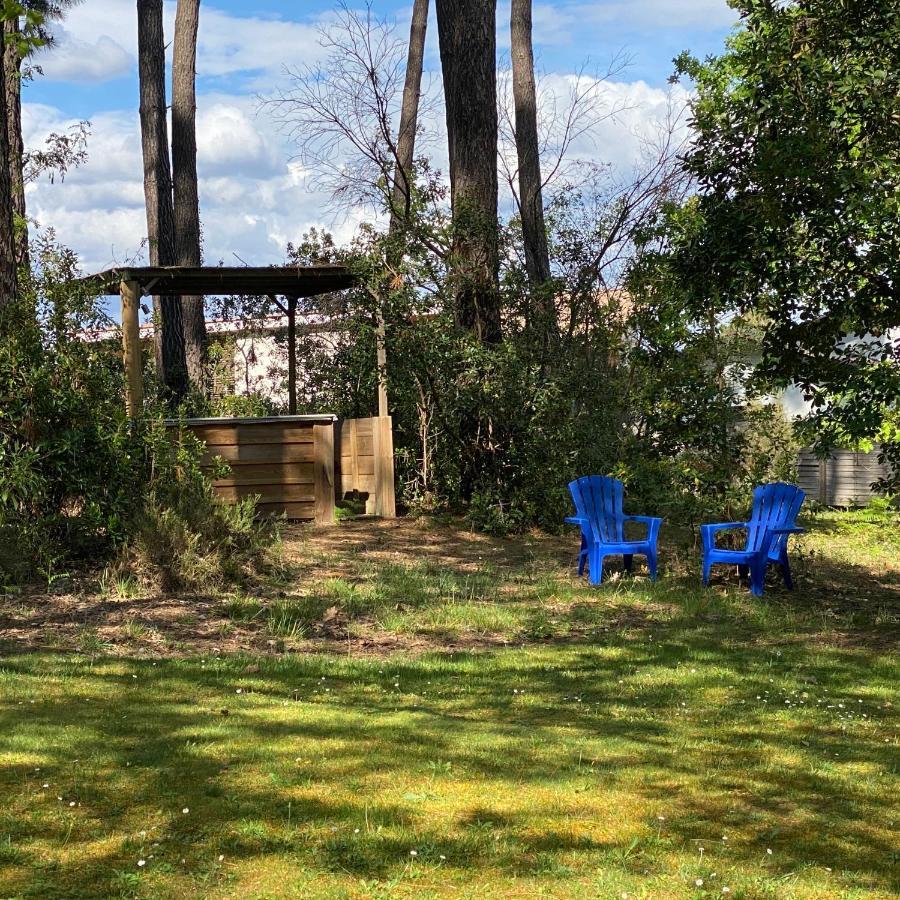 Le Petit Poulailler Au Beau Milieu Des Pins Villa Lacanau Luaran gambar