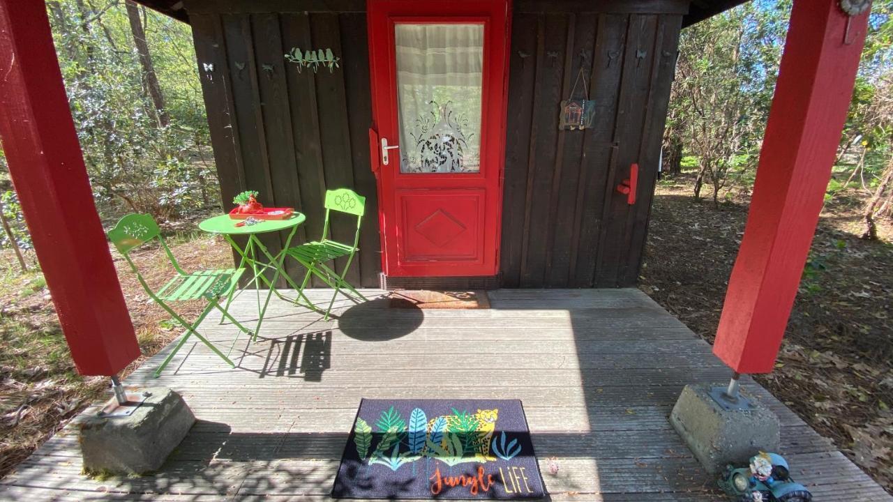 Le Petit Poulailler Au Beau Milieu Des Pins Villa Lacanau Luaran gambar