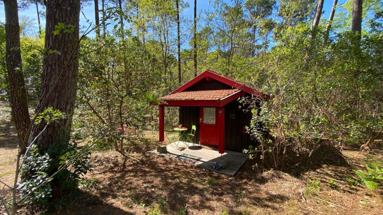 Le Petit Poulailler Au Beau Milieu Des Pins Villa Lacanau Luaran gambar
