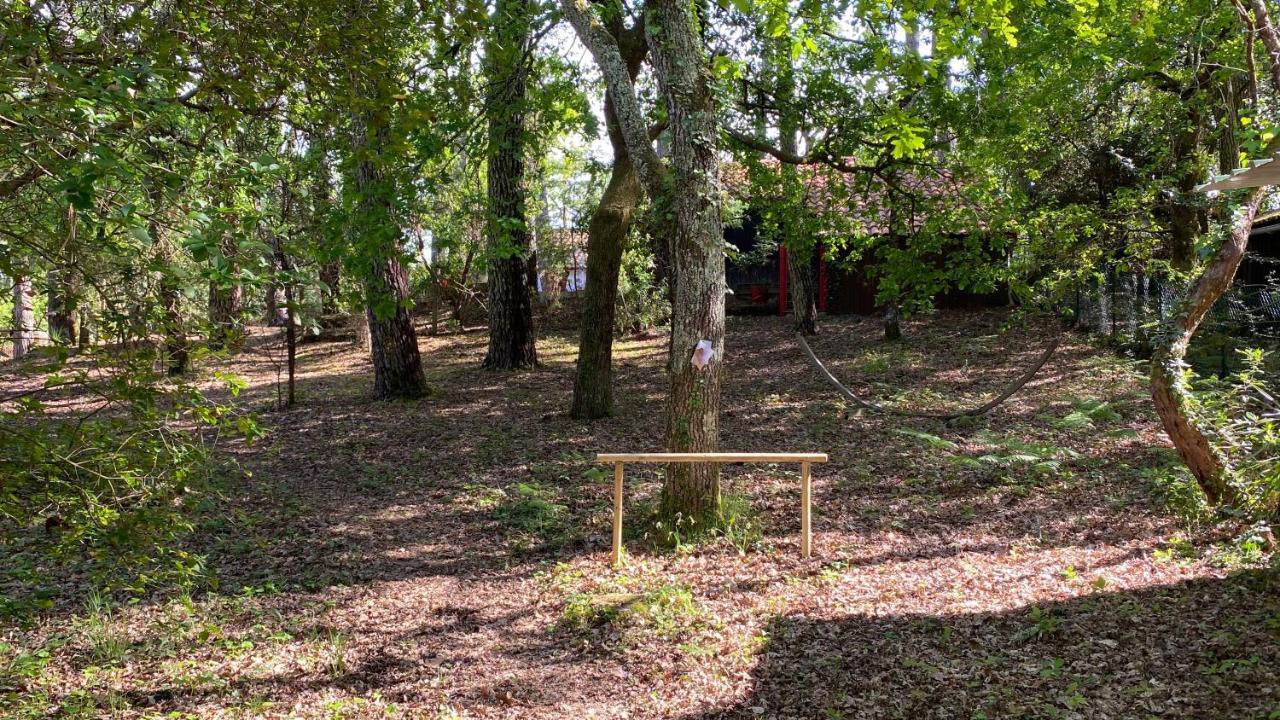 Le Petit Poulailler Au Beau Milieu Des Pins Villa Lacanau Luaran gambar