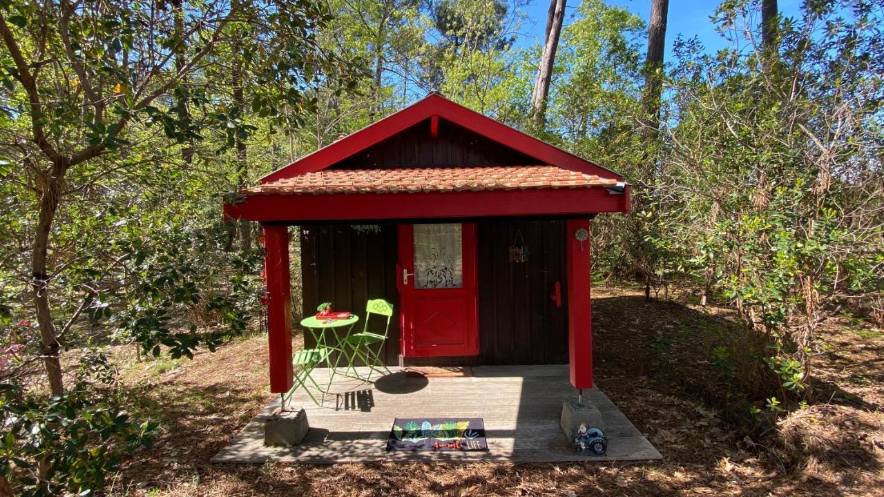 Le Petit Poulailler Au Beau Milieu Des Pins Villa Lacanau Luaran gambar