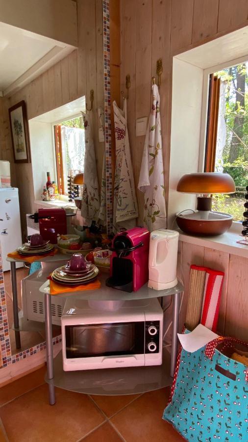 Le Petit Poulailler Au Beau Milieu Des Pins Villa Lacanau Luaran gambar