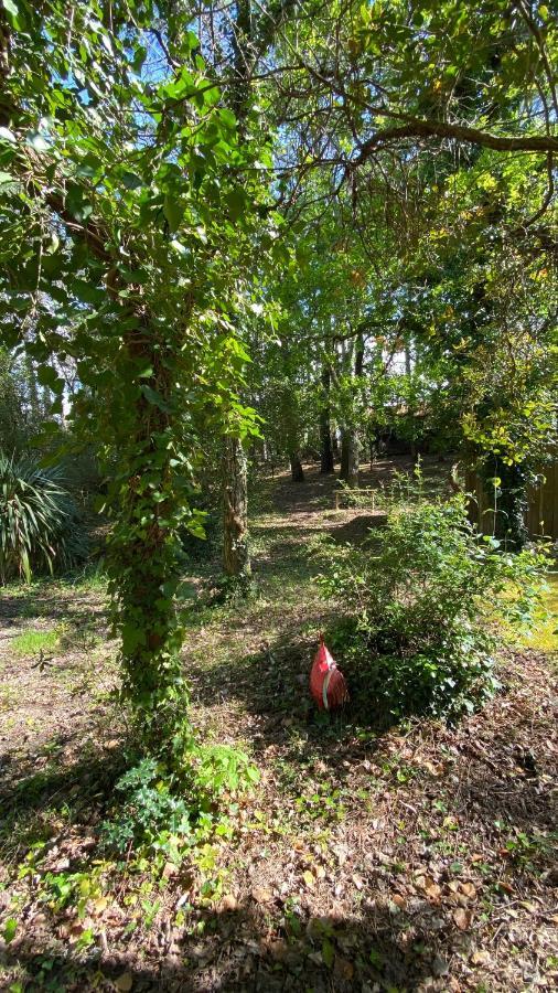 Le Petit Poulailler Au Beau Milieu Des Pins Villa Lacanau Luaran gambar