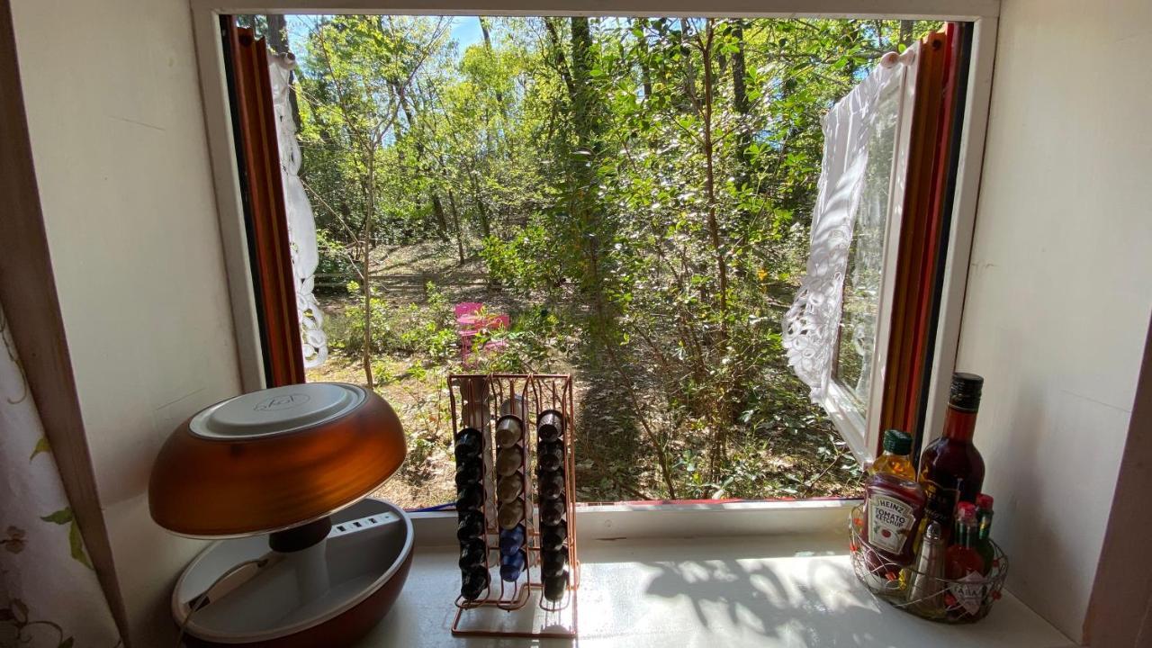 Le Petit Poulailler Au Beau Milieu Des Pins Villa Lacanau Luaran gambar