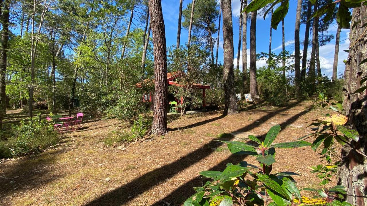 Le Petit Poulailler Au Beau Milieu Des Pins Villa Lacanau Luaran gambar