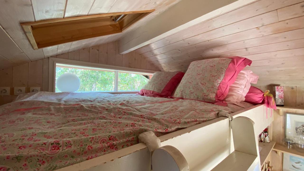 Le Petit Poulailler Au Beau Milieu Des Pins Villa Lacanau Luaran gambar
