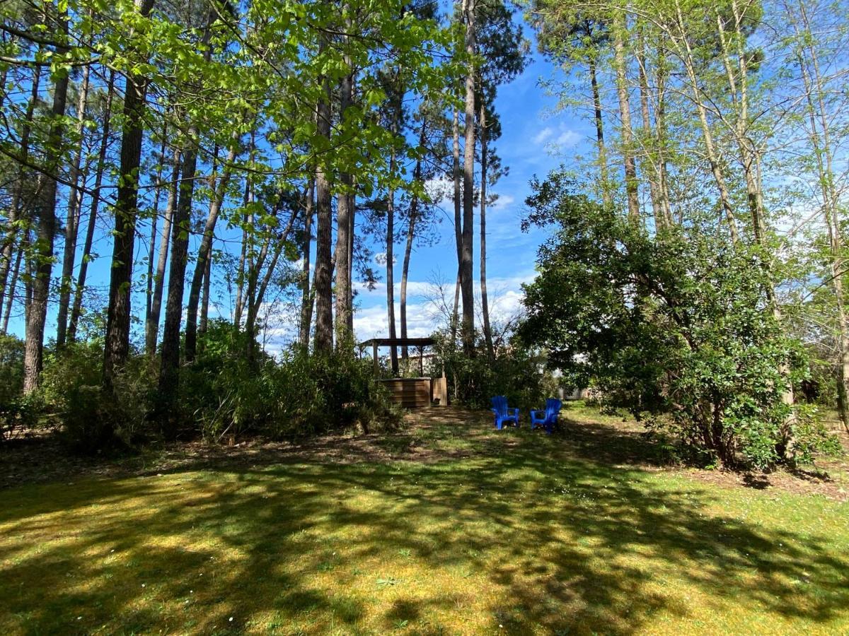 Le Petit Poulailler Au Beau Milieu Des Pins Villa Lacanau Luaran gambar