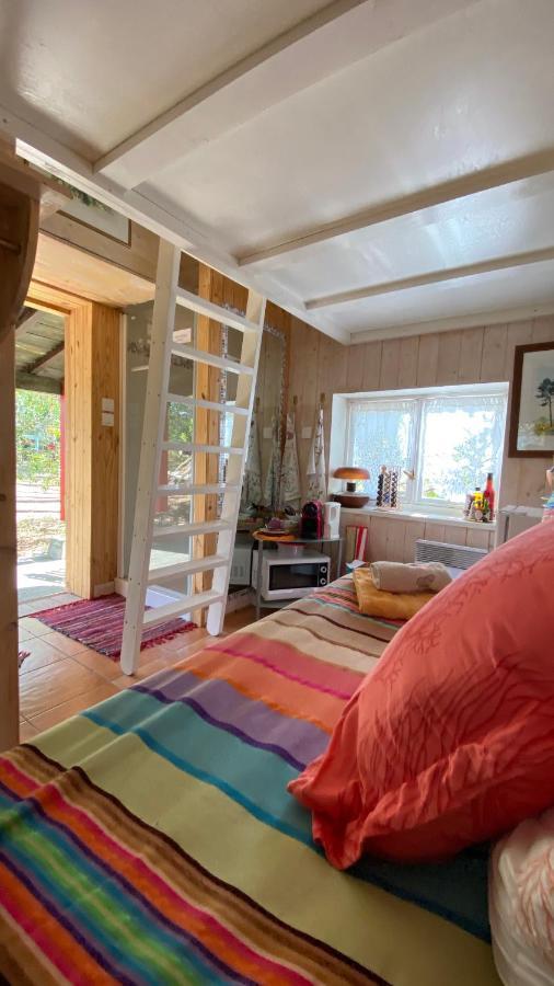 Le Petit Poulailler Au Beau Milieu Des Pins Villa Lacanau Luaran gambar