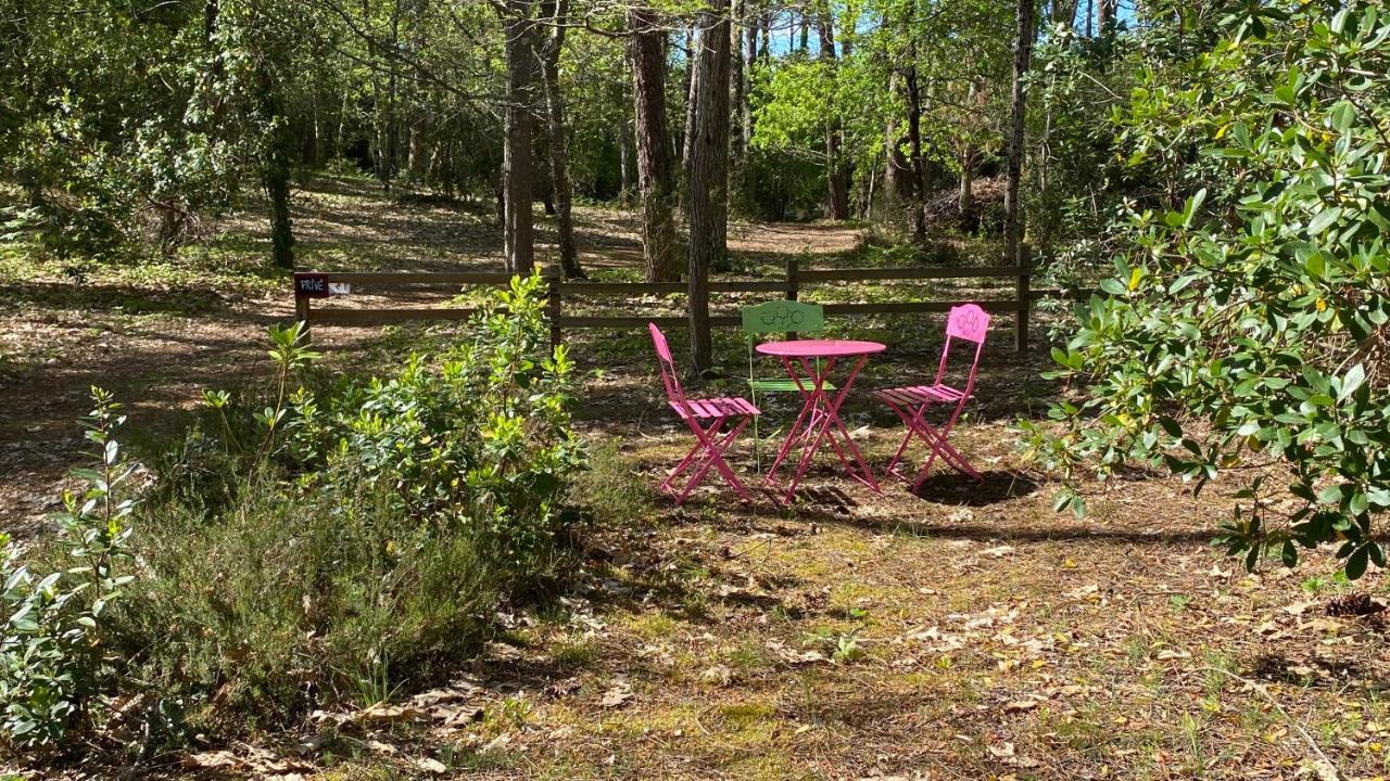 Le Petit Poulailler Au Beau Milieu Des Pins Villa Lacanau Luaran gambar